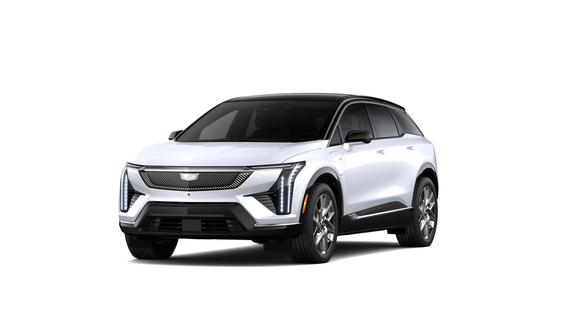 2026 Cadillac Optiq Premium Luxury's photo